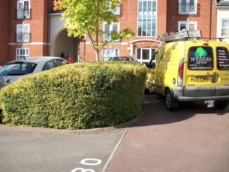 Thumbnail of Management of the grounds around a large block of flats in Trowbridge