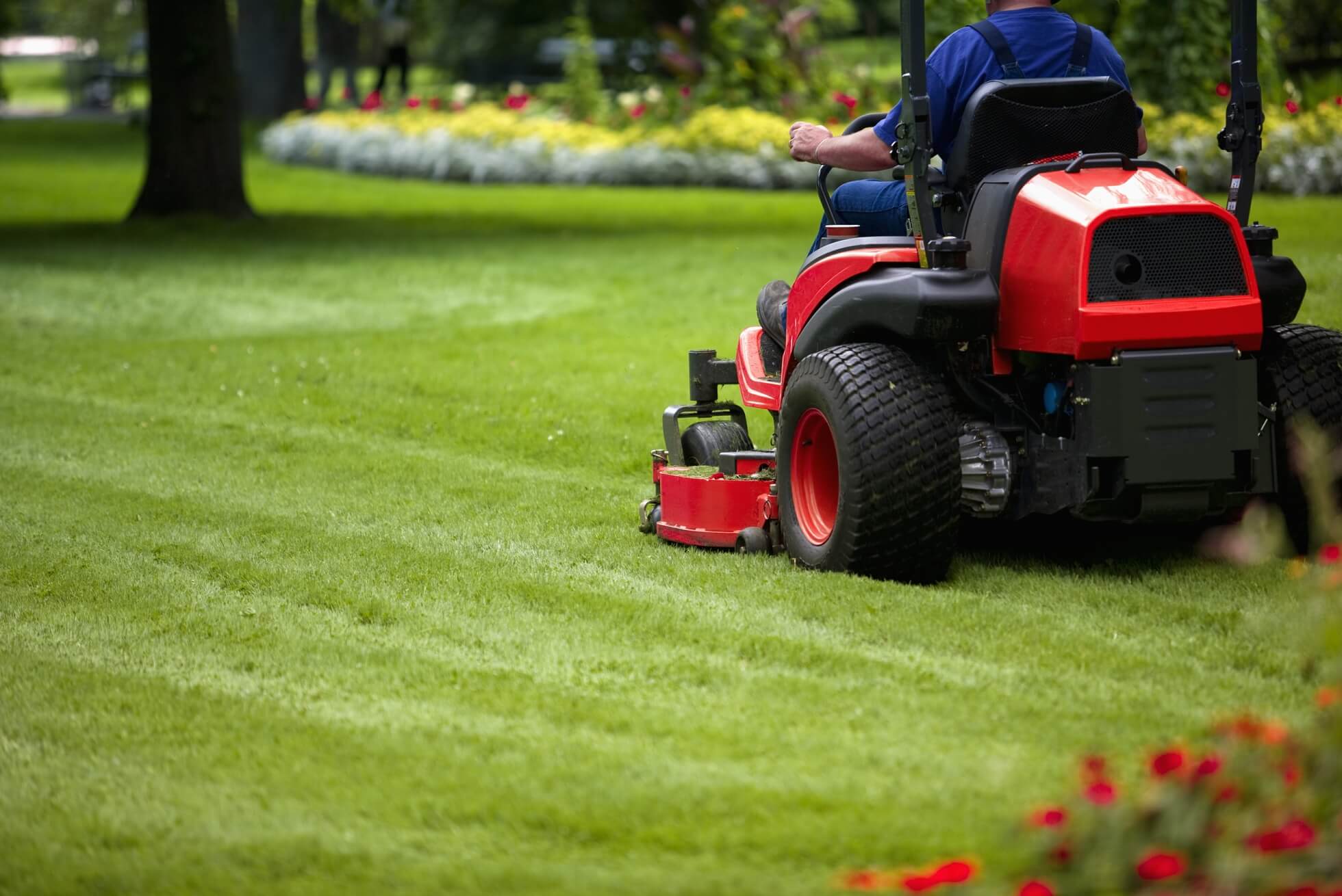JR Garden Services lawn mowing