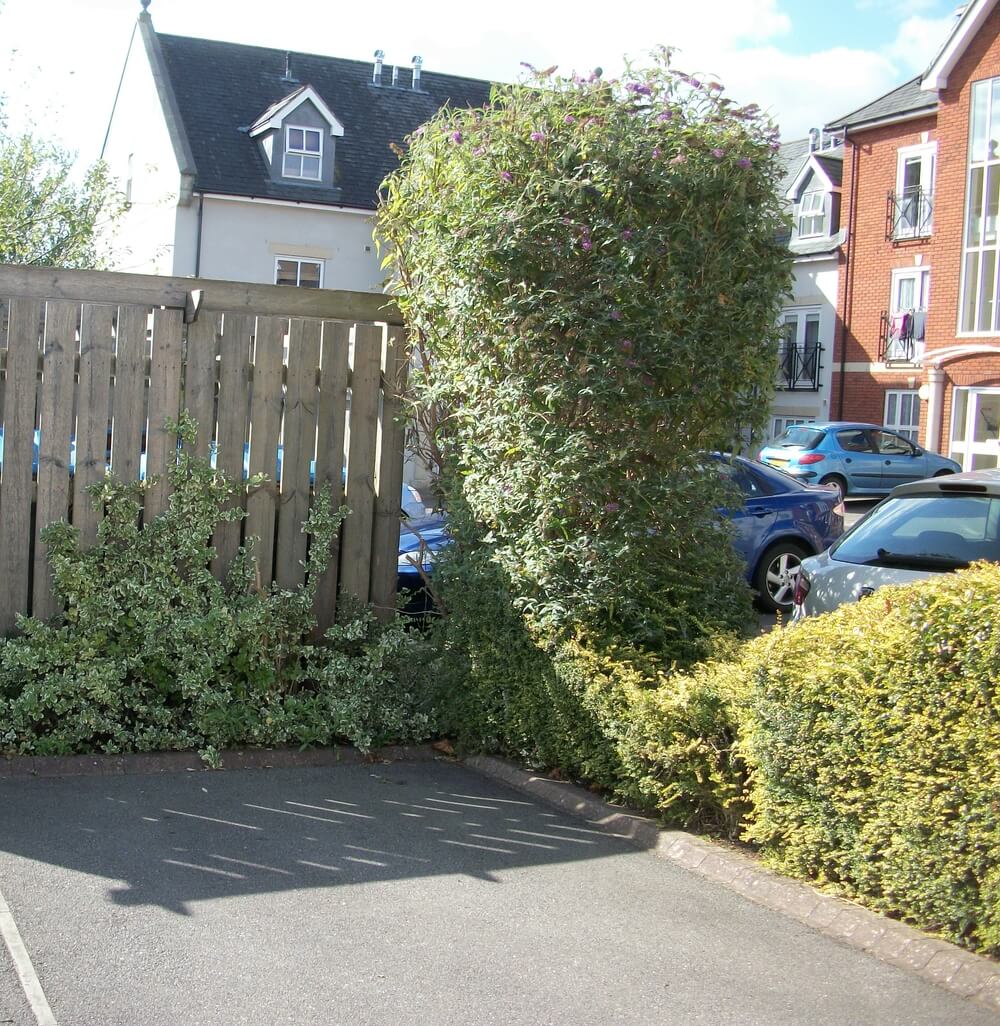 garden areas outside flats Trowbridge