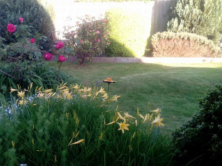 domestic garden with flowers and lawn