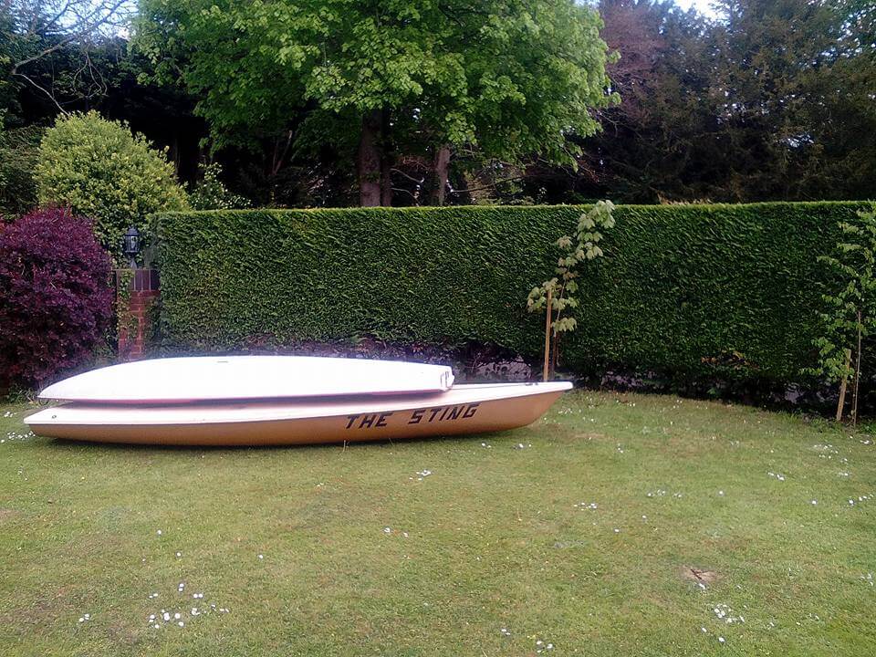 hedge in garden